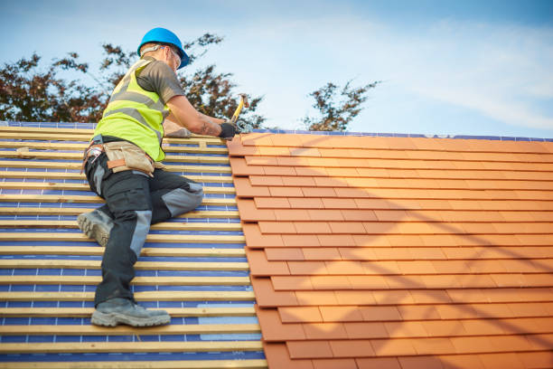 Best Sheet Metal Roofing  in Atasdero, CA